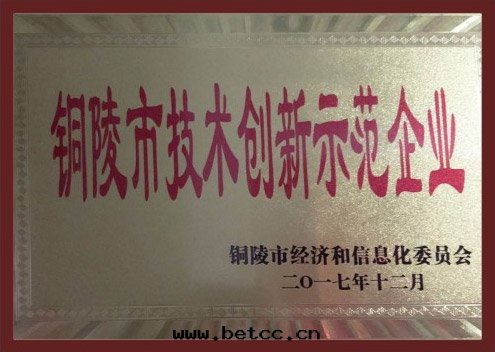 铜(tóng)陵市(shì)技術(shù)创新(xīn)示范企业