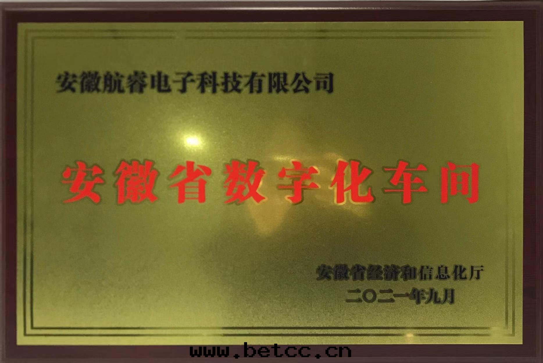 安(ān)徽省(shěng)數字(zì)化(huà)車間(jiān)